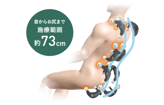 背すじの曲線に沿った「S字フィットフレーム」