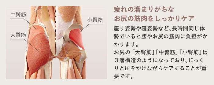 お尻の筋肉をしっかりケア