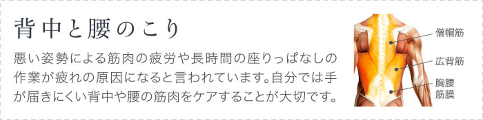 背中と腰のこり