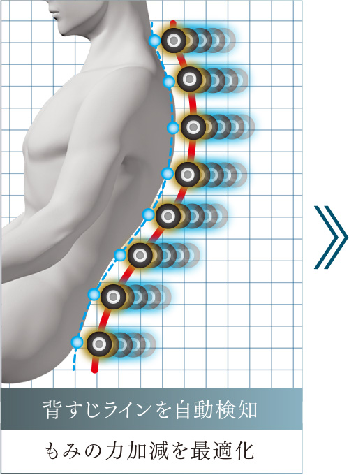 背すじのラインを自動検知