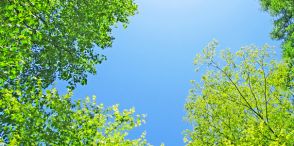 健康経営への取り組み